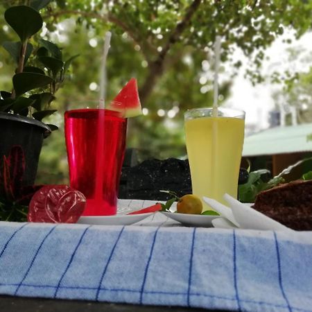 Kibissa Sigiri La Veranda Lodge מראה חיצוני תמונה