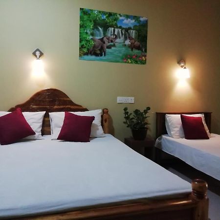 Kibissa Sigiri La Veranda Lodge מראה חיצוני תמונה
