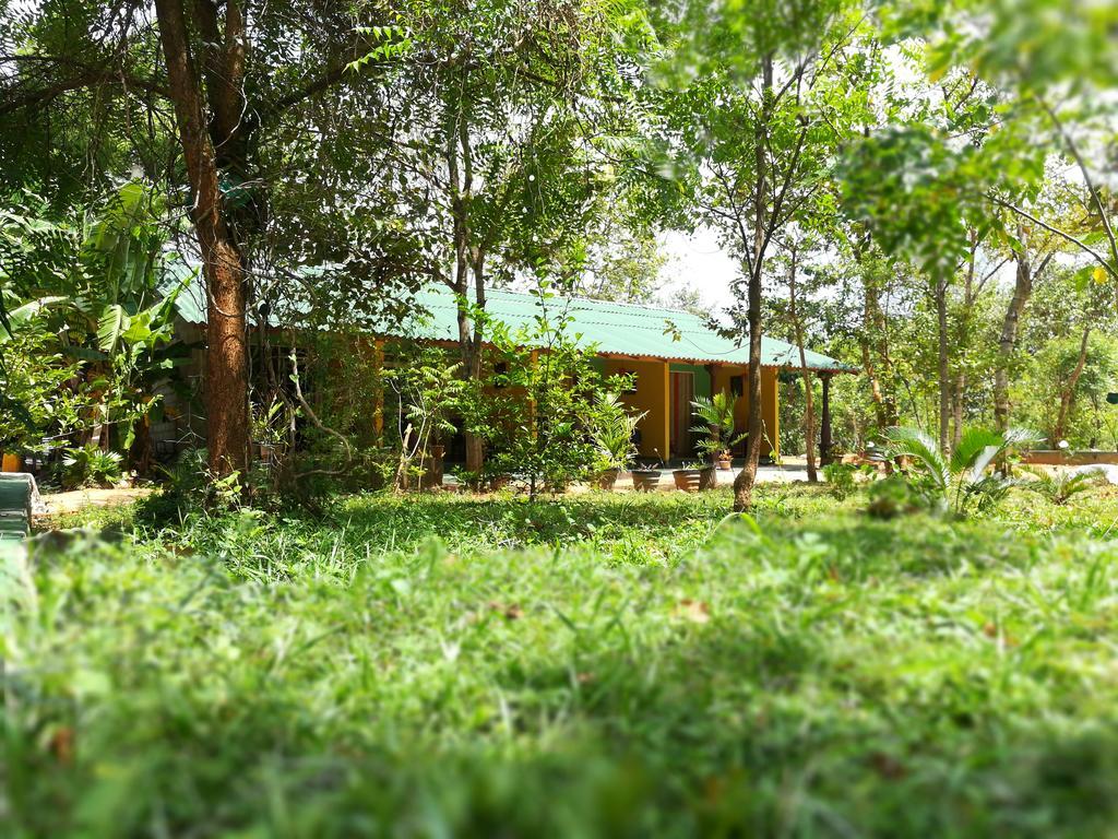 Kibissa Sigiri La Veranda Lodge מראה חיצוני תמונה
