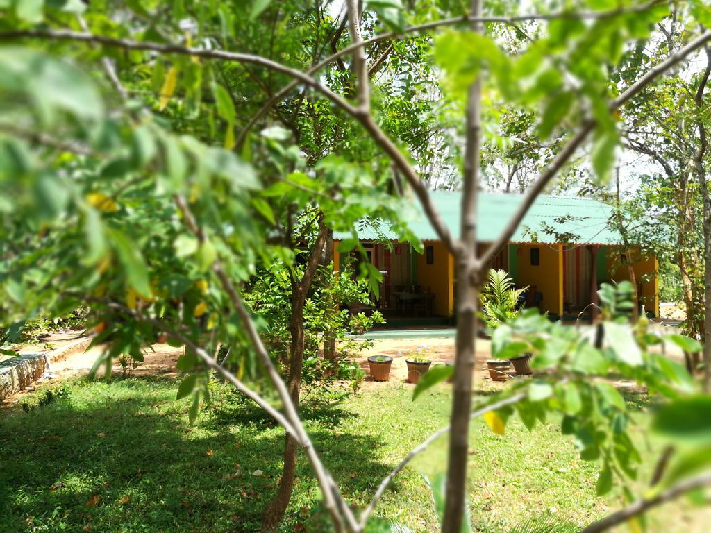 Kibissa Sigiri La Veranda Lodge מראה חיצוני תמונה