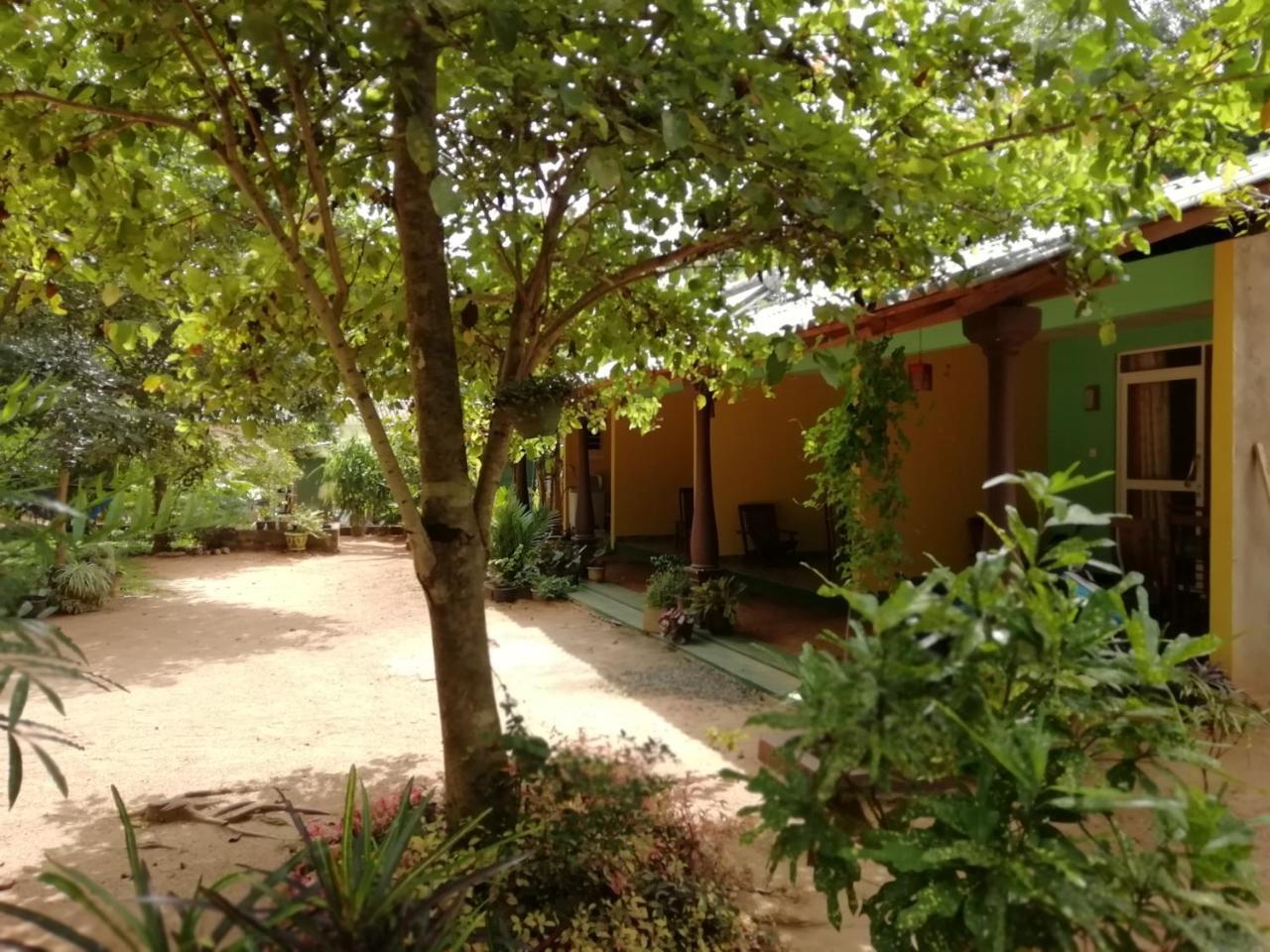 Kibissa Sigiri La Veranda Lodge מראה חיצוני תמונה