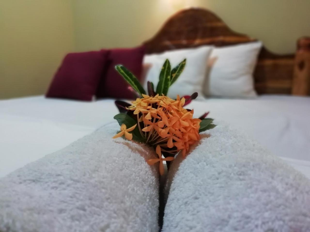 Kibissa Sigiri La Veranda Lodge מראה חיצוני תמונה